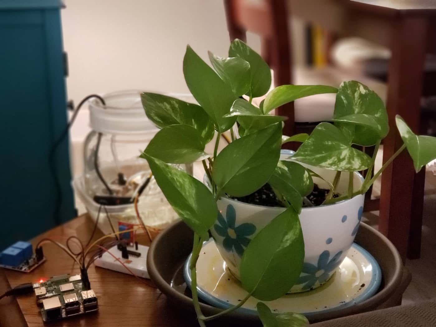 Watering Plants With A Raspberry Pi 