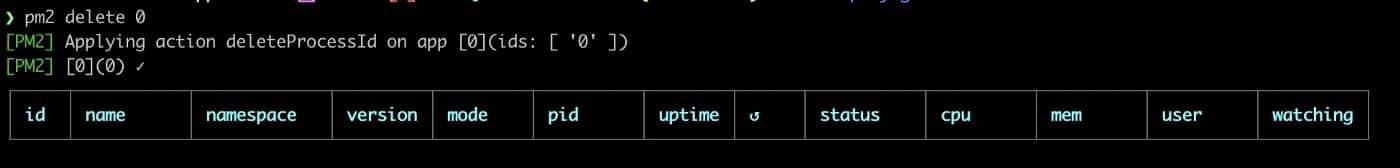 Example output of pm2 delete 0 command