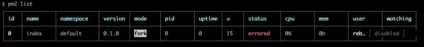 Example output of pm2 list command; note that the output will show the status (“online”, “error”) for each process.