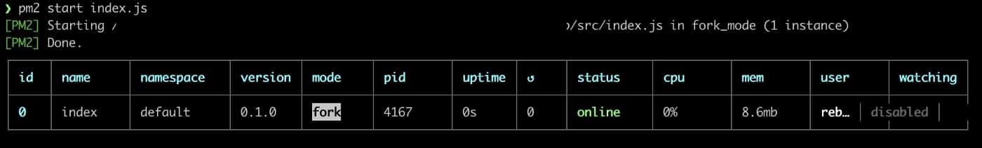 PM2 process information after starting an application