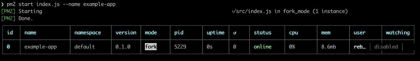 PM2 process information after starting an application and providing a name for the process