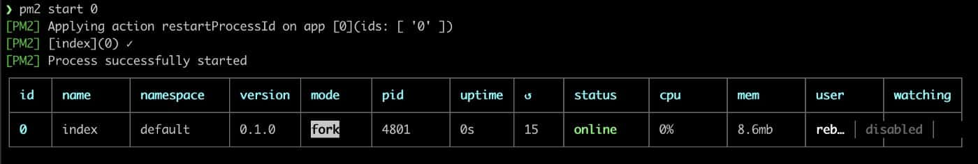 Example output of pm2 start 0 command