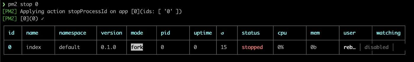 Example output of pm2 stop 0 command